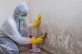 Best Attic Mold Removal  in Reedurban, OH